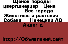 Щенок породы  цвергшнауцер › Цена ­ 30 000 - Все города Животные и растения » Собаки   . Ненецкий АО,Андег д.